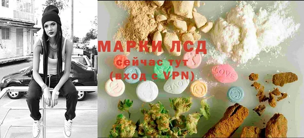 ПСИЛОЦИБИНОВЫЕ ГРИБЫ Богданович